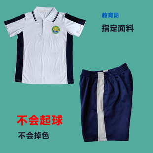 湛江市赤坎区28中同款短裤运动服夏装棉质短袖T恤衫夏季班服校服