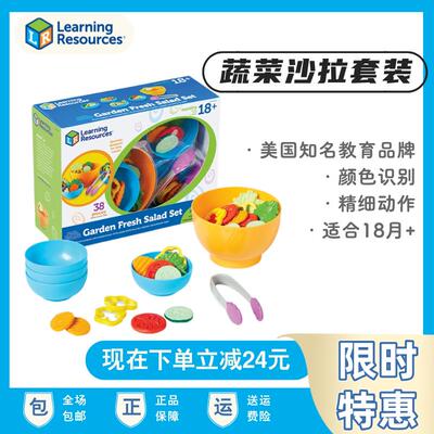 LR儿童过家家仿真蔬菜沙拉玩具