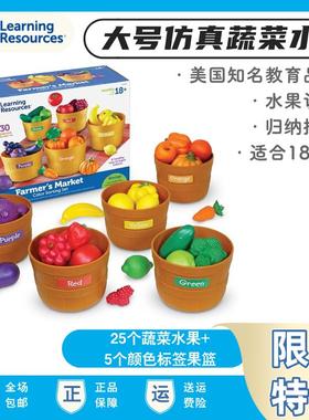 美国Learning Resources儿童过家家仿真大号蔬菜水果益智早教具LR