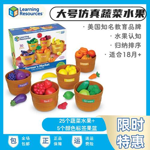 LR儿童过家家仿真大号蔬菜水果