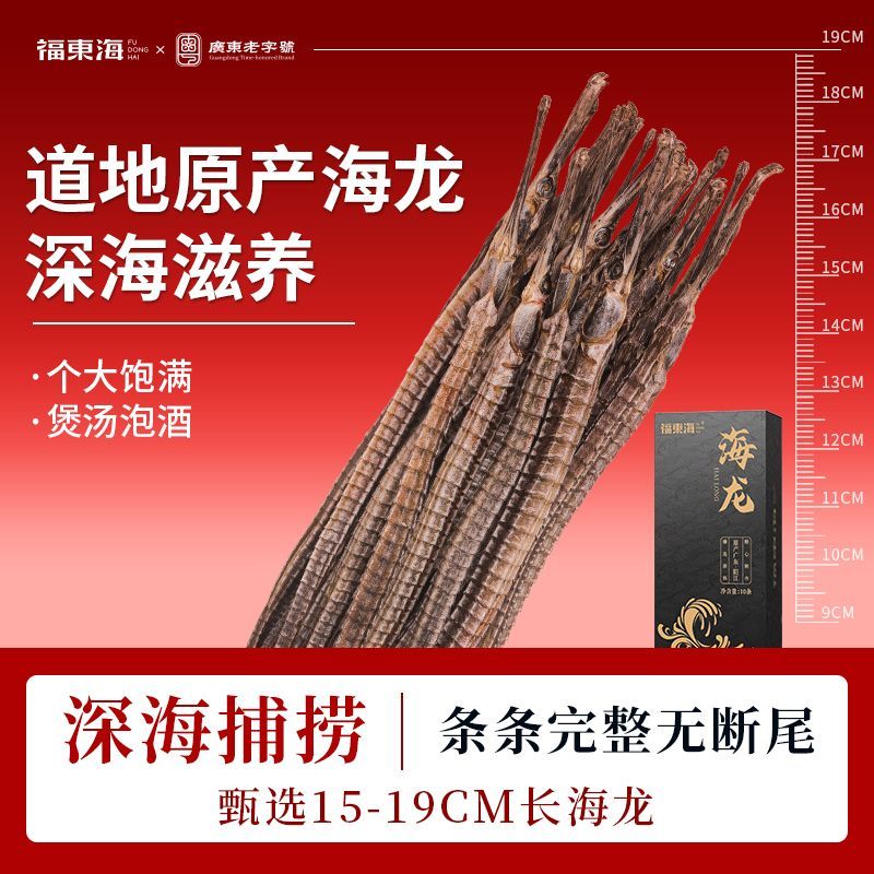 福东海六角海龙10条海产干货大刁海龙原材料新晒整只泡酒料正宗