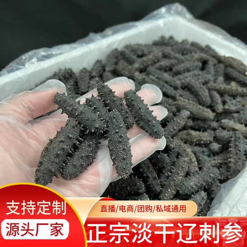 淡干海参大连野生海参辽参刺参