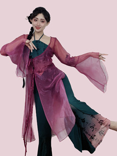 洛神原創(chuàng) 飄逸紗衣中國舞練功服國風演出服 古典舞服新中式 菡萏