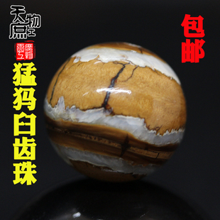 天然猛犸后槽牙臼齿两通正圆高密原色珠子多宝珠佛珠手串配饰配件