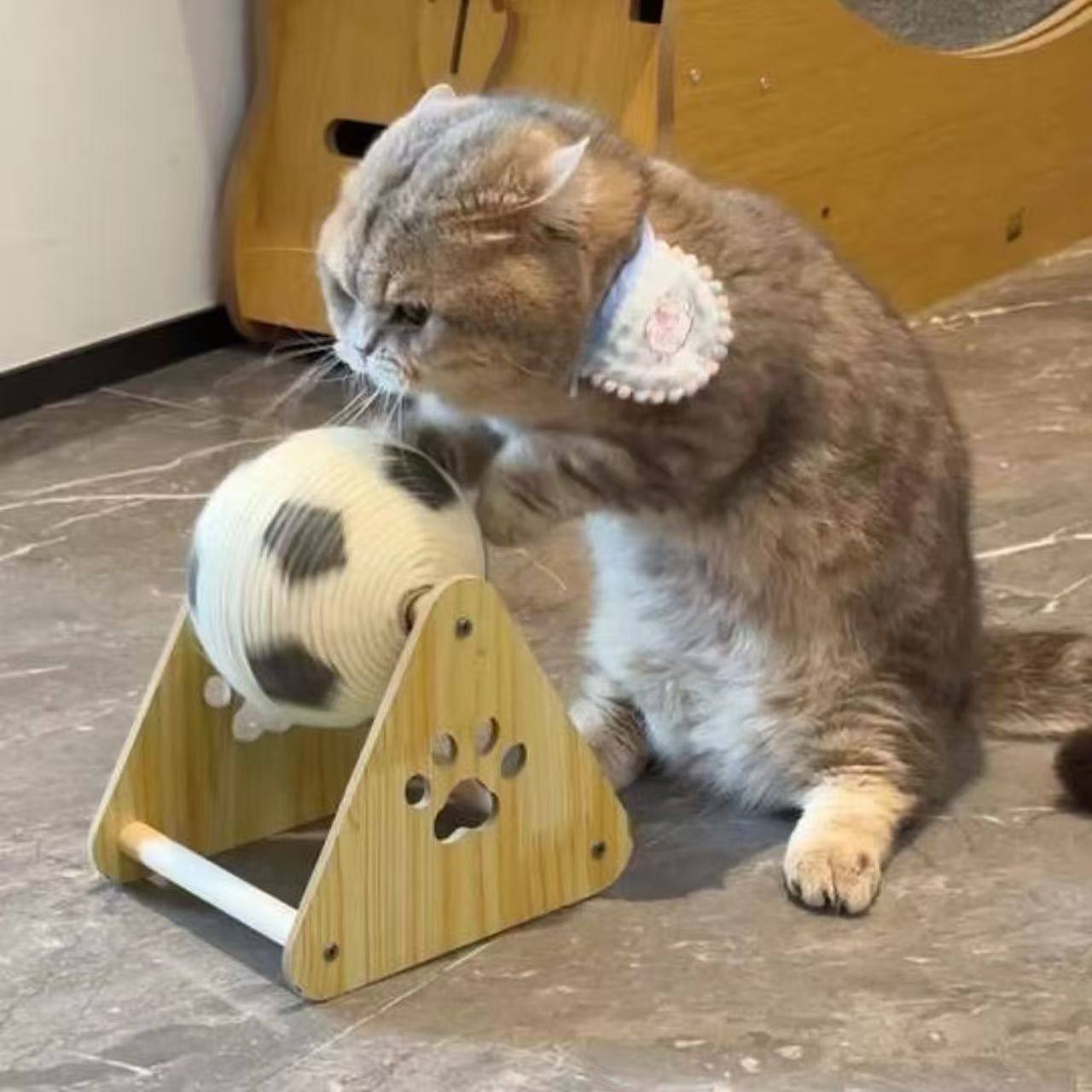 猫咪玩具麻绳猫抓球立式耐磨不掉屑自嗨解闷磨爪猫抓板玩具球,宠物/宠物食品及用品,猫狗特色玩具,淘宝优惠券,粉丝福利购,淘宝优惠卷