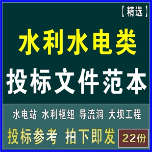水利水电站大坝水利枢纽导流泄洪洞闸明渠工程投标文件组织方案