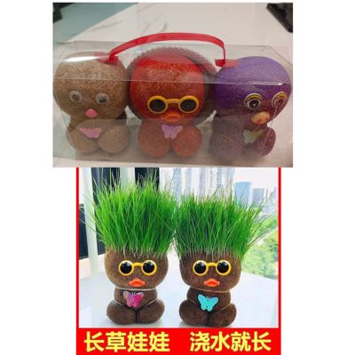 草头娃娃头上长草人小盆栽长头发儿童种草幼儿园网红开花