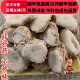 同品质 包邮 山奈 50g 同德 满28 无硫 可打粉