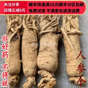 同品质 50g 生晒参 白参 个 可打粉 同仁堂 满28包 人参