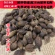 青翘 同品质 同德 可打粉 连翘 50g 包邮 无硫 满28