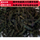 正品 同品质 同德 50g 中药材 无硫 包邮 荆芥穗炭 可打粉