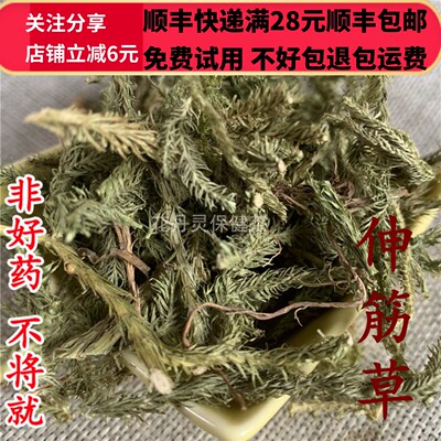 50克伸筋草中药材精选无硫