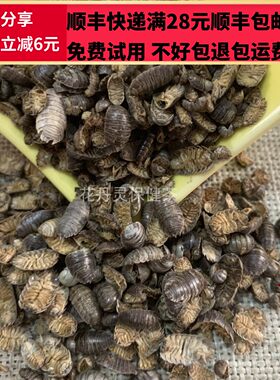 50克鼠妇虫中药材正品精选无硫