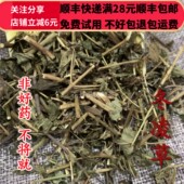 同品质 满28 冬凌草 同德 50g 可打粉 包邮