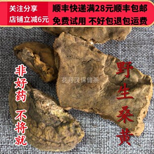 同德  同品质 中药材 正品  桑黄 桑臣  50g 可打粉 满28包邮