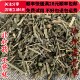 同品质 包邮 珍珠透骨草 50g 同德 满28 透骨草 可打粉