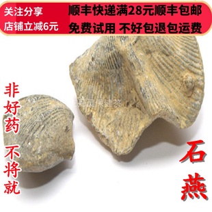 同德  同品质 中药材 石燕子  石燕 选货 无硫 50g 可打粉包邮