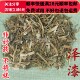 同品质 包邮 泽漆 50g 同德 满28 猫眼草 可打粉