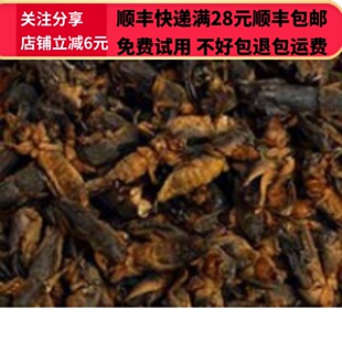 50g  蝼蛄 土狗 蝼蛄干 中药材 正品精选无硫 可打粉 满28包邮