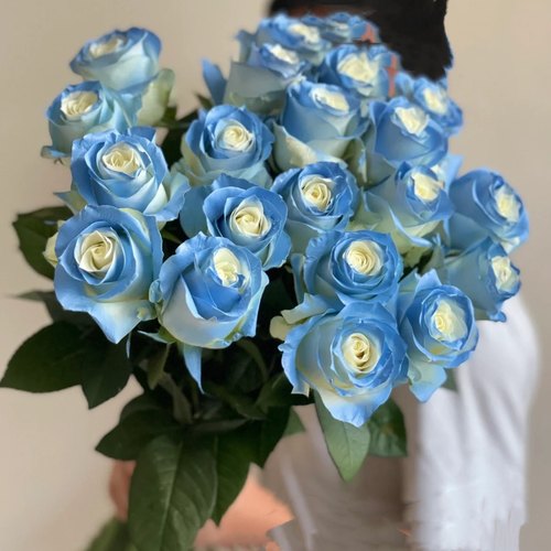 喷色玫瑰碎冰蓝鲜花送人花束10枝