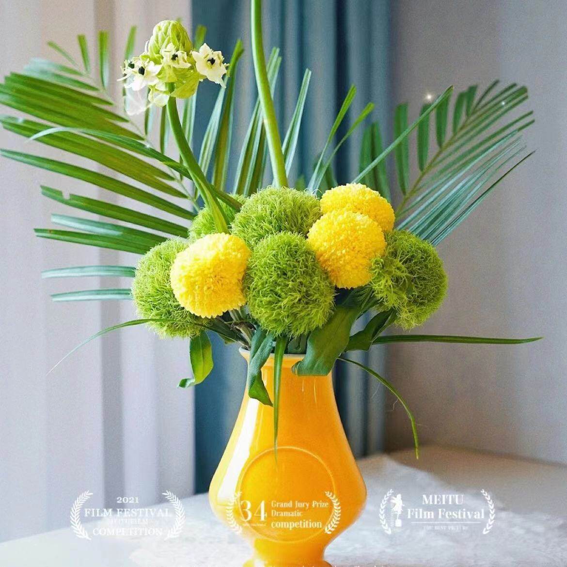 绿色绿毛球鲜花绿石竹乒乓菊鲜切花花束云南基地直发真花生日礼物
