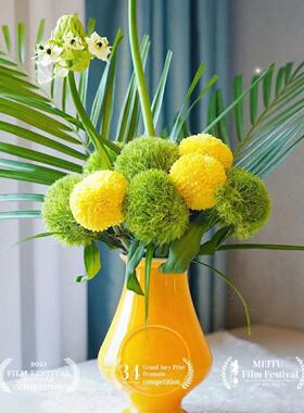 绿色绿毛球鲜花绿石竹乒乓菊鲜切花花束云南基地直发真花生日礼物