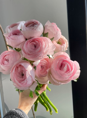 小众高级感大头樱花粉河内洋牡丹鲜花水养真花居家水瓶插花束礼物