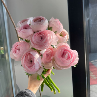 小众高级感大头樱花粉河内洋牡丹鲜花水养真花居家水瓶插花束礼物