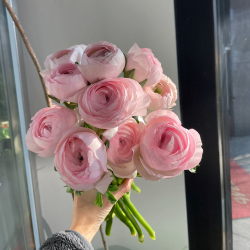 小众高级感大头樱花粉河内洋牡丹鲜花水养真花居家水瓶插花束礼物