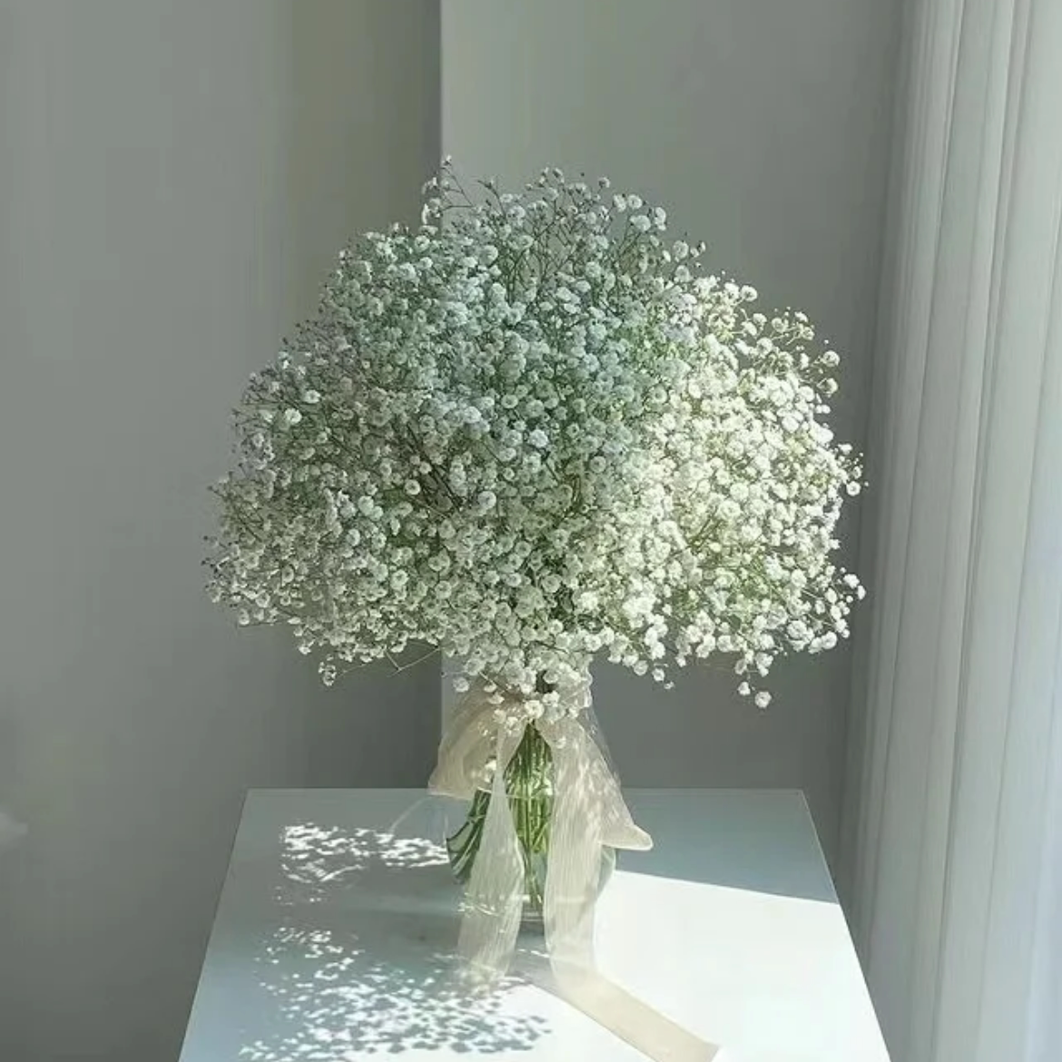 一束满天星配花礼物染色