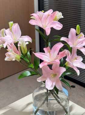 粉色小粉仙百合新鲜云南基地直发鲜切花花束生日礼物女生鲜花水养