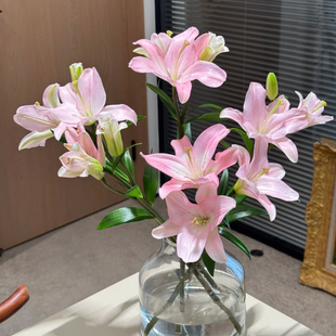 粉色小粉仙百合新鲜云南基地直发鲜切花花束生日礼物女生鲜花水养