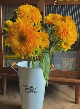 多头重瓣泰迪向日葵花束真花鲜切花云南基地直发生日礼物鲜花昆明