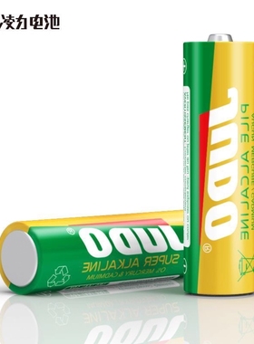 凌力5号7号JUDO碱性电池AA智能门锁遥控器指纹锁玩具跳舞毯体脂秤