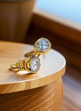 轻奢小众高级感精致小巧圆形锆石耳钉欧美大牌简约耳饰2025年新款