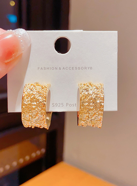 925银针欧美不规则圈耳环女小众设计高级感金属独特夸张耳钉耳饰