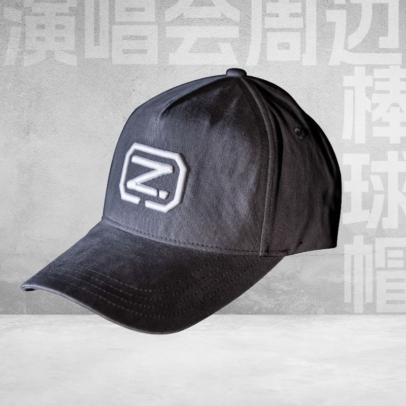 【刺绣】谢霆锋Evolution演唱会周边个性立体logo棒球帽户外透气