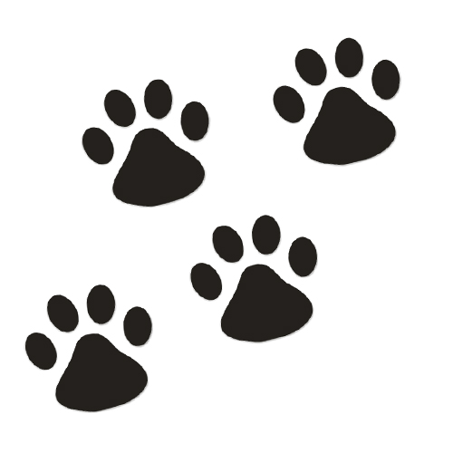 猫爪印 狗爪印 脚印 引擎盖贴 侧门贴 汽车贴纸划痕贴 车门贴