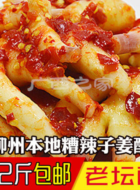 泡菜坛子农家剁椒红糟生仔姜酸