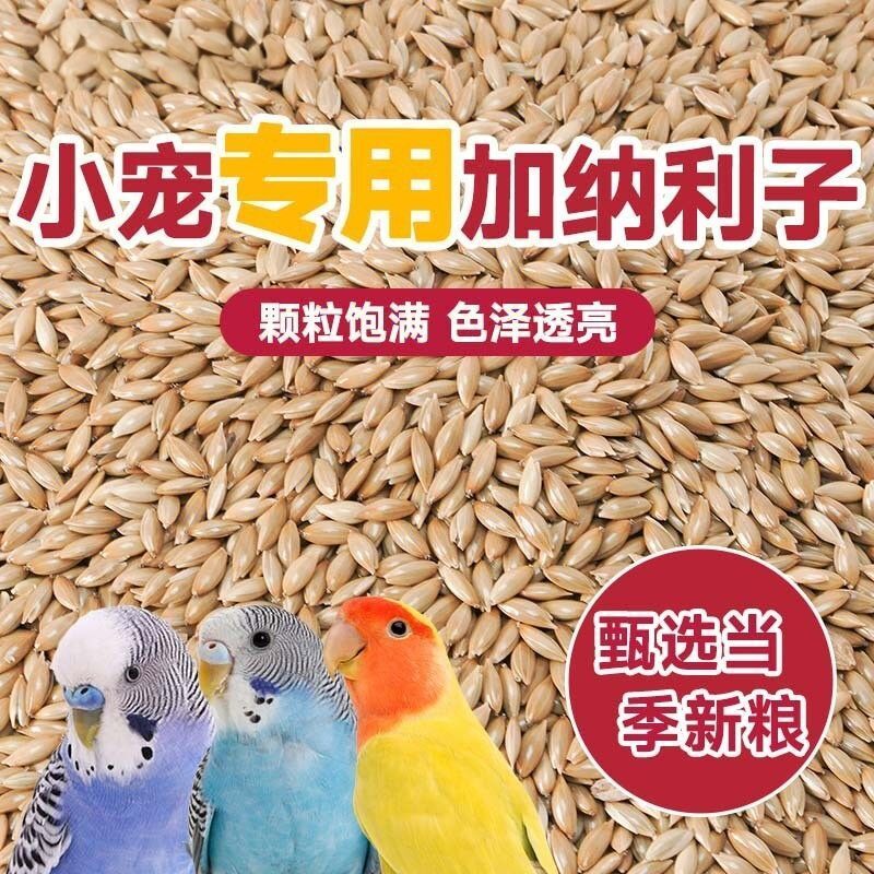 10斤新进口加纳利子白尖鸟鹦鹉粮50斤草庐籽白燕珍珠虎皮牡丹鸽粮