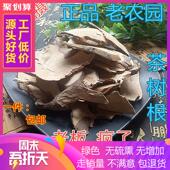 野生老茶树根 包邮 中药材茶树根 新货茶树根500克