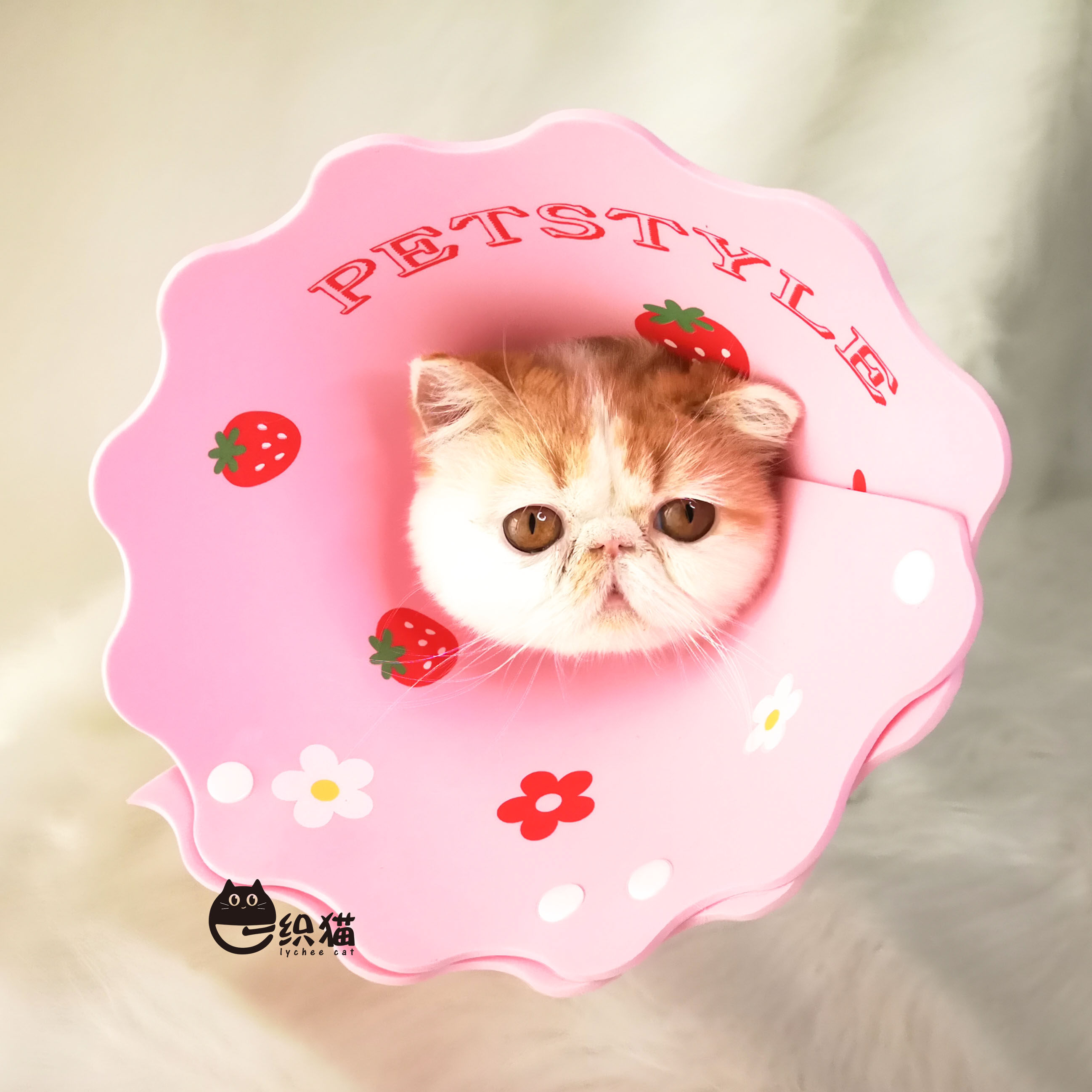 可爱猫咪狗狗项圈脖套伊丽莎白圈