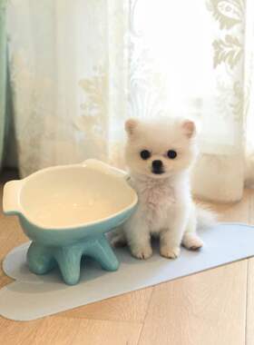 ViviPet新品宠物小呆碗陶瓷猫狗食盆水碗 可爱汪汪造型宠物碗包邮