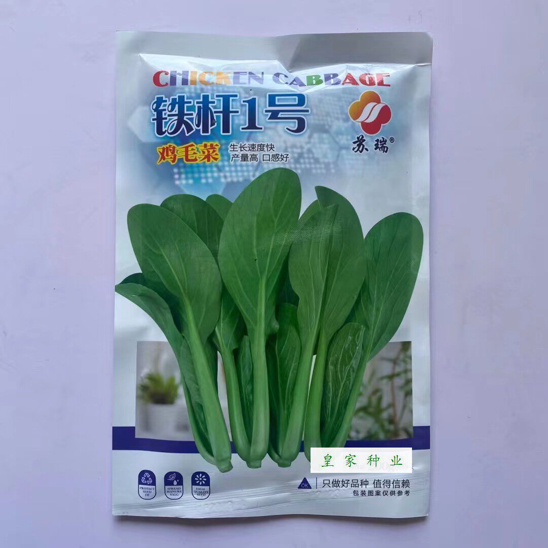 苏瑞铁杆1号鸡毛菜种子耐热上海青速生四季小青菜种籽耐雨水高产