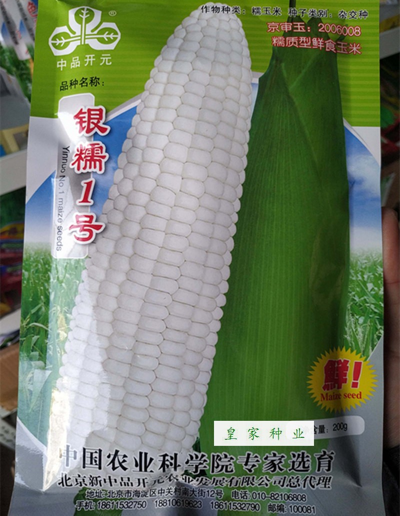 中品开元银糯1号白糯玉米种子糯质型鲜食玉米京审玉米种籽高产