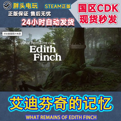 Steam国区KEY艾迪芬奇的记忆CDK