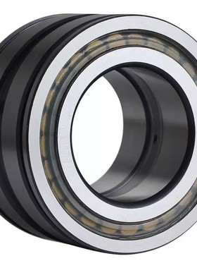 进口INA满装轴承 SL04 5018-PP-2NR NNF5018ADA-2LSV ADB 045018