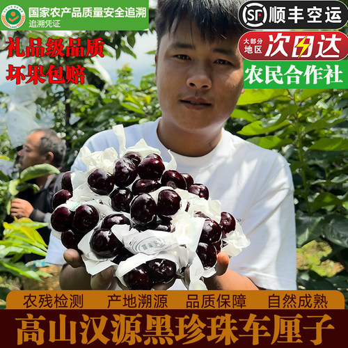 四川汉源黑珍珠车厘子应季新鲜礼盒装顺丰空运孕妇水果汶川甜樱桃