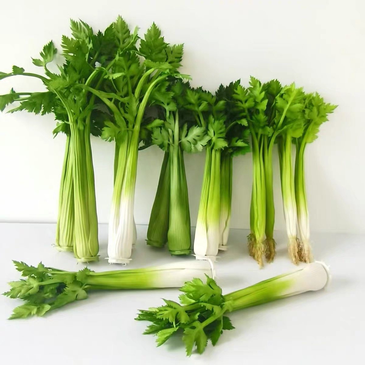 包邮仿真芹菜模型高仿真芹菜橱窗蔬菜摆件展示道具,鲜花速递/花卉仿真/绿植园艺,仿真果蔬,淘宝优惠券,粉丝福利购,淘宝优惠卷