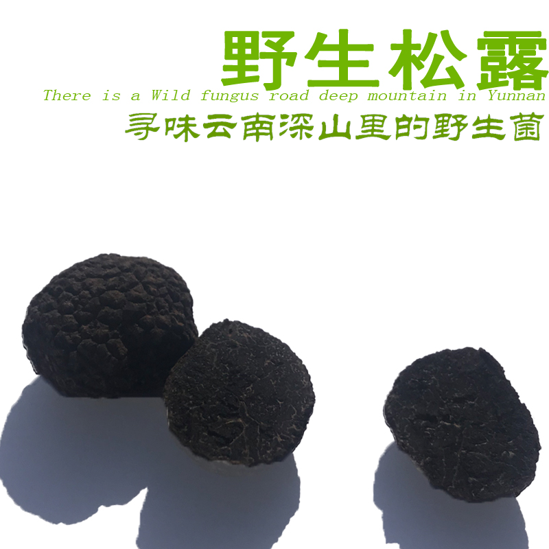 Fresh Truffle 500g Yunnan Native dried food Mushroom 3-5cm wild Truffles Mountainsin the Agri rice/Dried foods/Condiment , Dried foods/Meat Dry , Dry/Native , Mushroom category  category - from Buy2taobao.com to provide professional Taobao agent buy service
